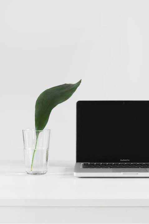 Eco notebooks